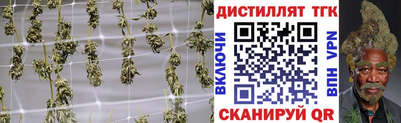 ТГК гашишное масло Фокино