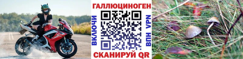 Галлюциногенные грибы мицелий  где можно купить наркотик  OMG tor  Фокино 